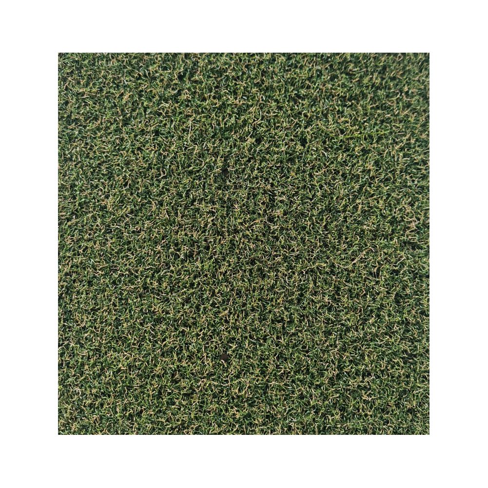 10 mm Çim Halı - Sarı Otlu Dekoratif Çim Halı
