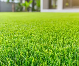 Çim Halı Bakımı Nasıl Yapılır? Suni Çim Ömrünü Uzatmanın 5 Püf Noktası