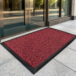 Kırmızı Hijyen Paspas