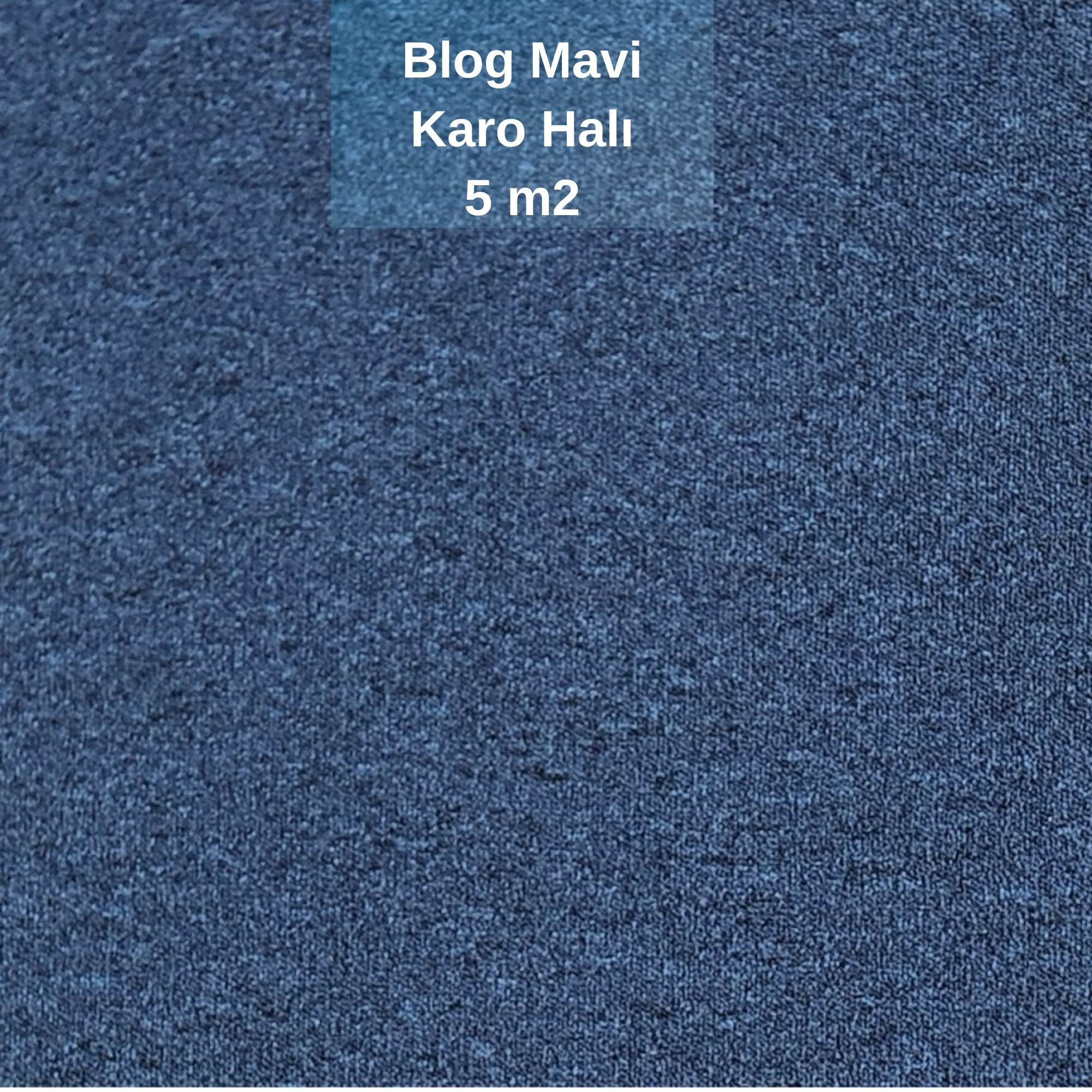 Blog Mavi Karo Halı