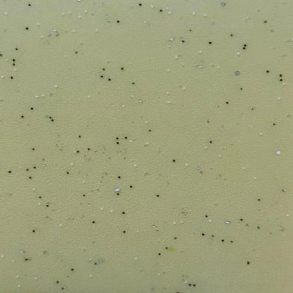 FORBO COMPACT ETERNAL 2 MM 0,70