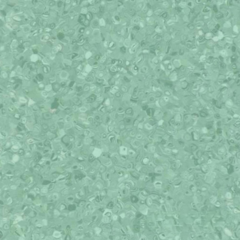 GRABO FORTIS CACTUS ( GRUP T)