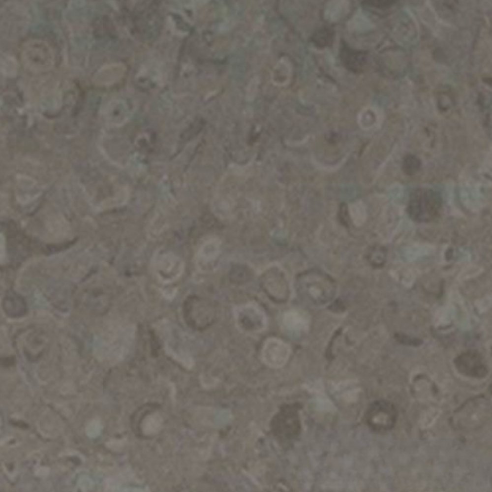 GRABO FORTIS SİLVER KINIGHT MOCHA (GRUP)