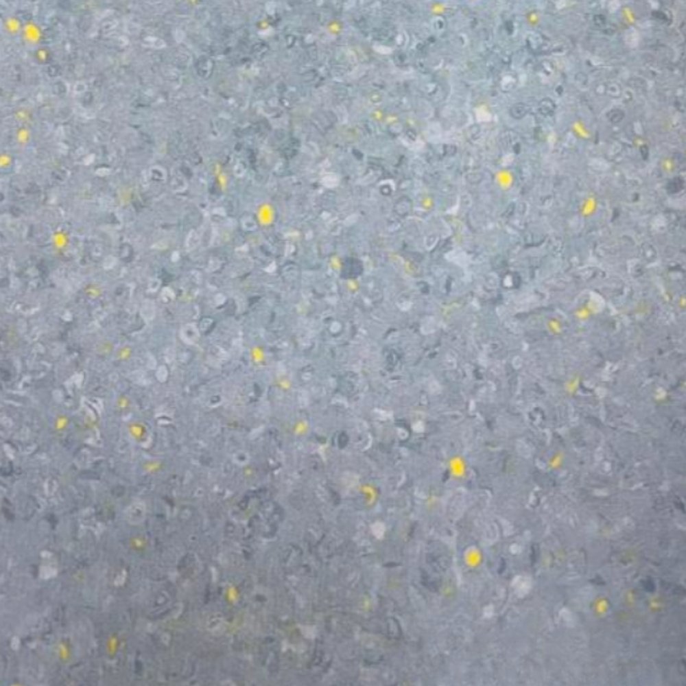 GRABO FORTİS WİLD PARROT (GRUP T)