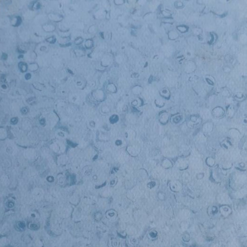 GRABO TRIUMPH AZURE (GRUP T)